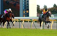 �t�T�C�`���V���[�������X�|�t�Q�΂r���e