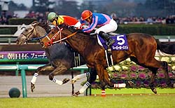 �t�T�C�`���V���[��