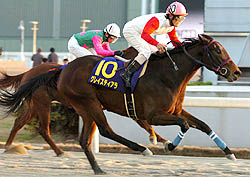 �O���C�X�e�B�A�����f�h�̃^�C�g����D��