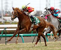 �W�����X�R���C�g�������t�u