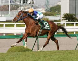 �A�h�}�C�����C��