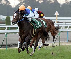 �����o�[�ő��̏オ��R�R�b�R�𔭊������A�h�}�C���I�[�����A�f�R�l�C�̃_�C���X�J�[���b�g���������A�N���V�b�N�̗L�͌��ɖ������グ���i�B�e�E���������j