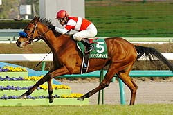 �t�����[�b�j���V�g�~��w�ɃV���E�i���^�����g���d�܏����e���������i�B�e�E���q��v�j