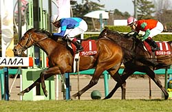 �������͍����x���d�܂ōD�������Ă�����B�t���C���O�A�b�v�����ǂƂ��̖��r�Ŕn�Q��˂��������i�B�e�E���q��v�j