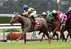 �ǌ��L���v�e���g�D�[������C�ɔ����o���Ĉ����B�f�h�����t�e�r�֍ō��̌`�łȂ����i�B�e�E�R�c��M�j