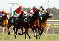 �������΂Ŕ����o�����V���E�i���A���o���͋��������؂��ďd�܏��u�B�N���V�b�N�ɖ������グ���i�B�e�E���q��v�j