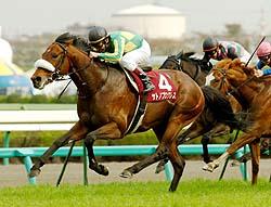 �D�ʂ���͋��������o�����T�g�m�v���O���X�B���R�T�R��ƍ��}�X�ɂ̃R���r�͂Q�T�A���d�܂u���i�B�e�E���q��v�j