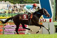 �����o�[�ő��̏オ��R�n�����R�S�b�S�̖��r���J��o���A������X���X���Ɣ����o�����A�h�}�C���R�}���h�i�B�e�E���q��v�j