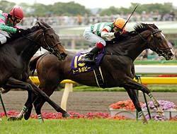 �@�Q�Ώ����g�[���|�s�[�i�E�j�����ԏ܂W������N�₩�ɕ����B�P�`�R���͂f�h�A�Όo���n���Ɛ肵���i�B�e�E���q��v�j