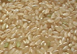 有機ササニシキ玄米