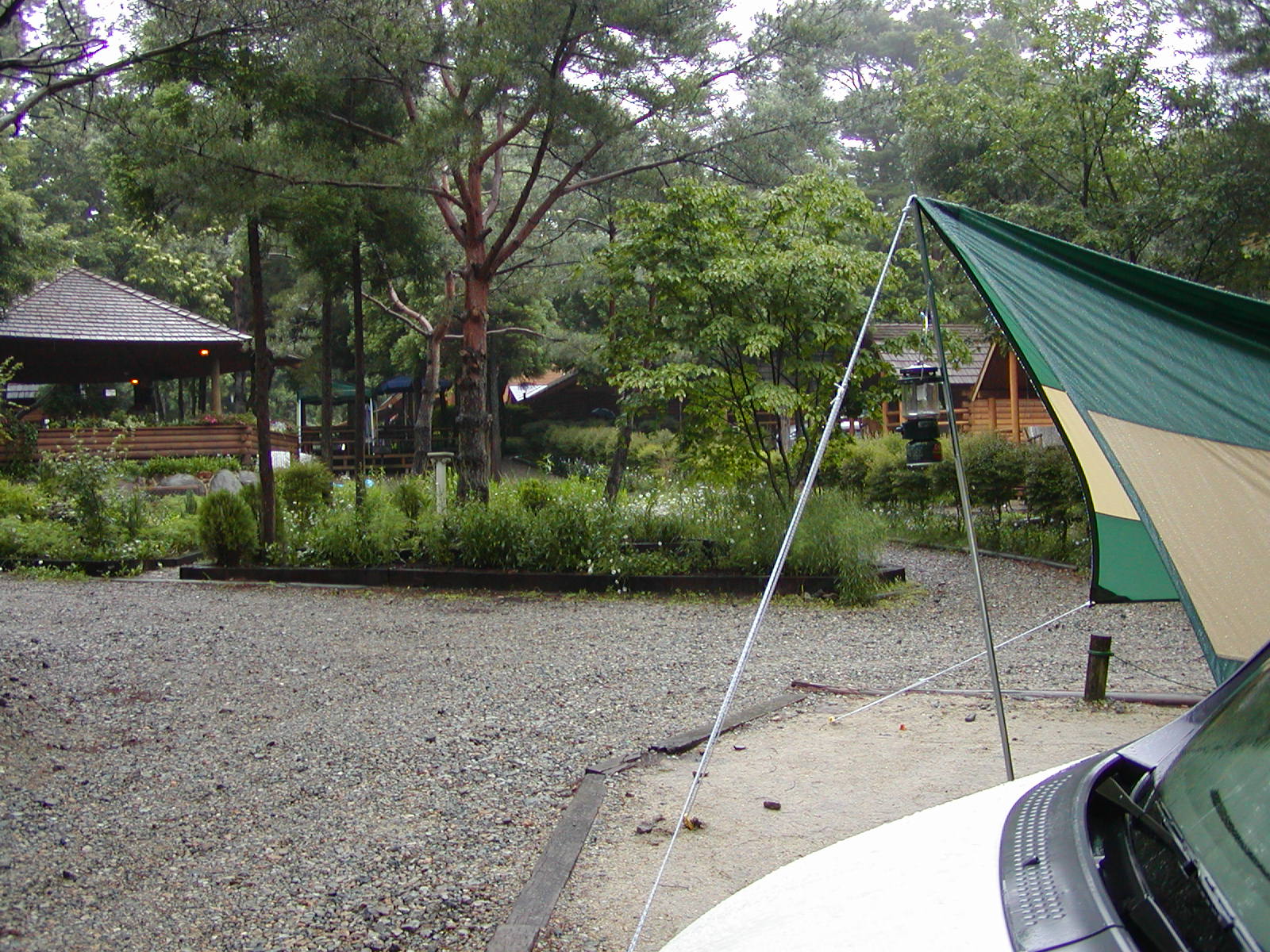 ���̓��̓P���O