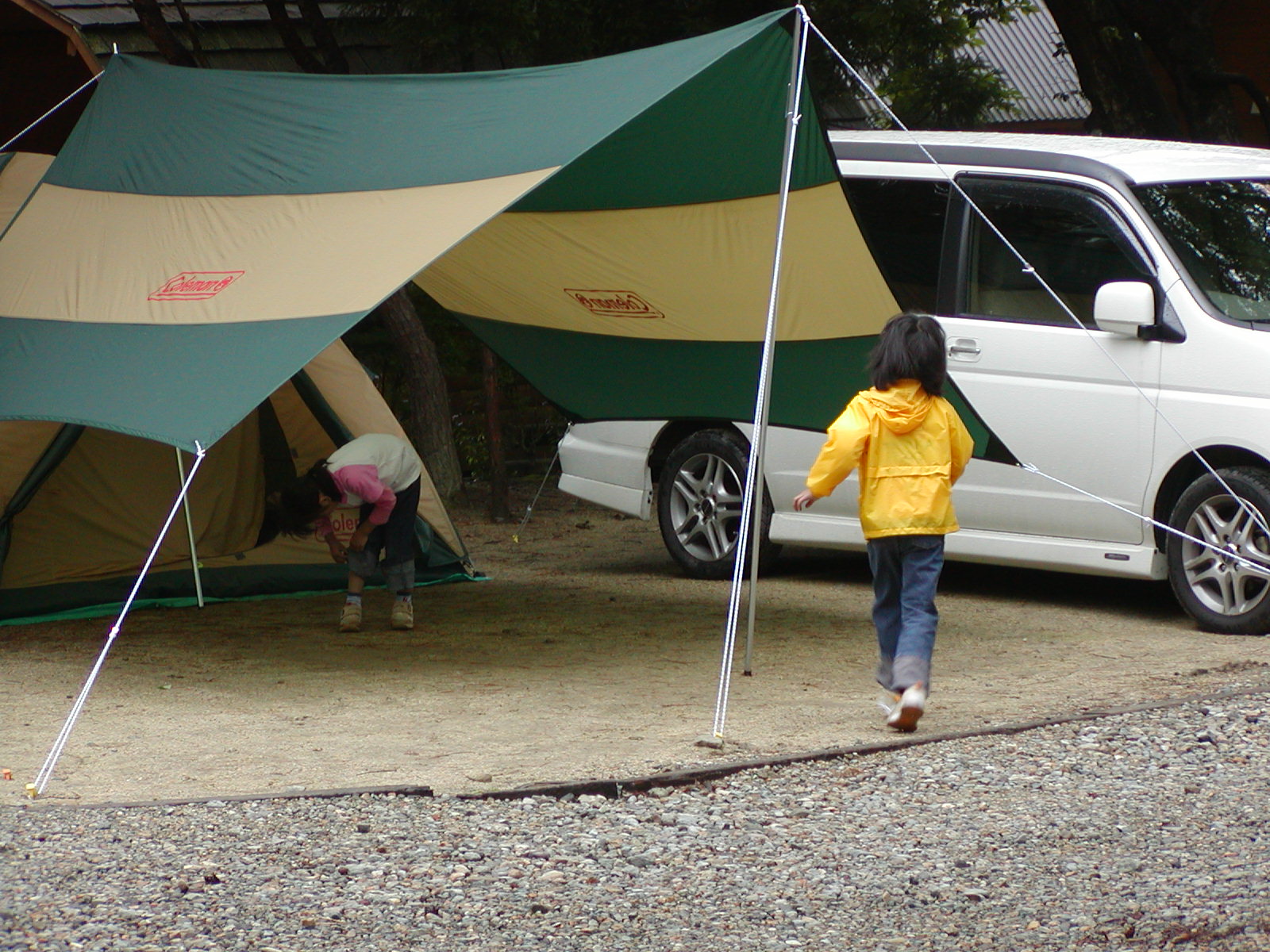 ���̓��̓P���O�Q