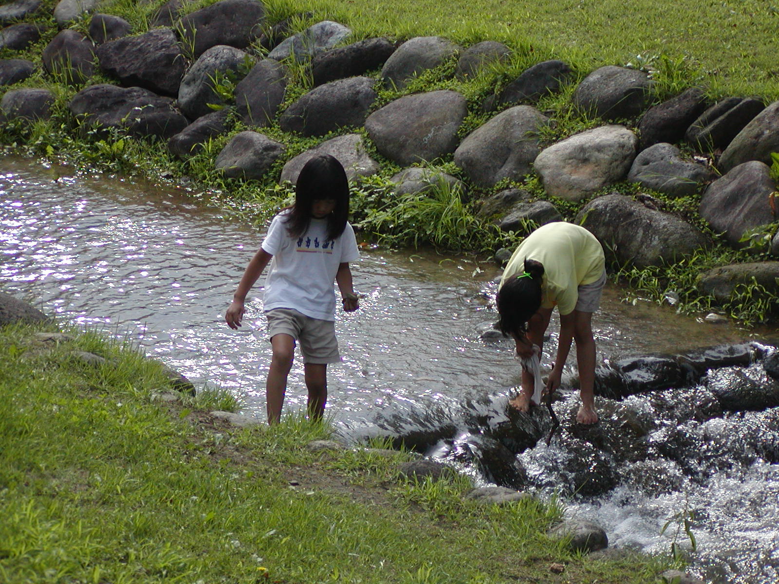 ����̏���Ő��V��