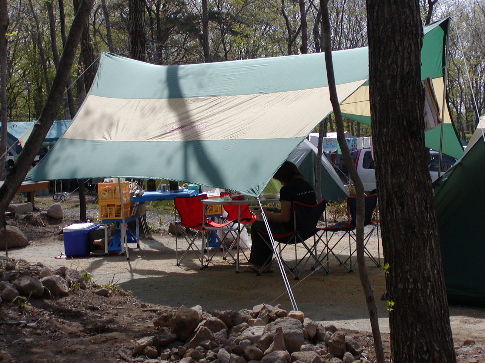 ���[�v���ɂĂQ