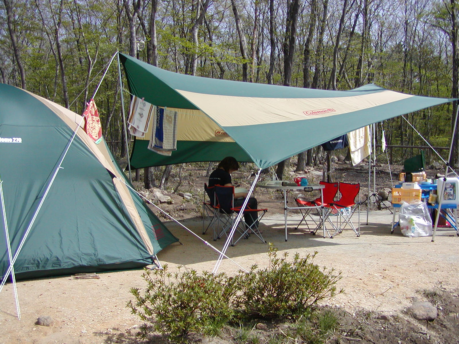 ���[�v���ɂĂR