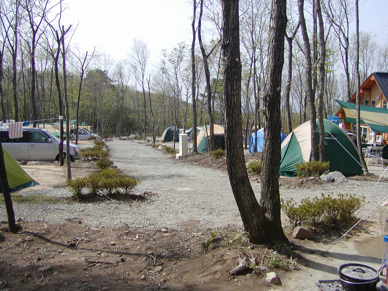 ���[�v���ɂĂT