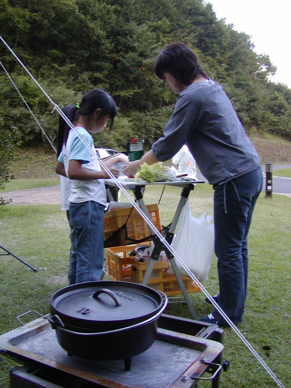 ��q�L������I�[�g�L�����v��O�������B��