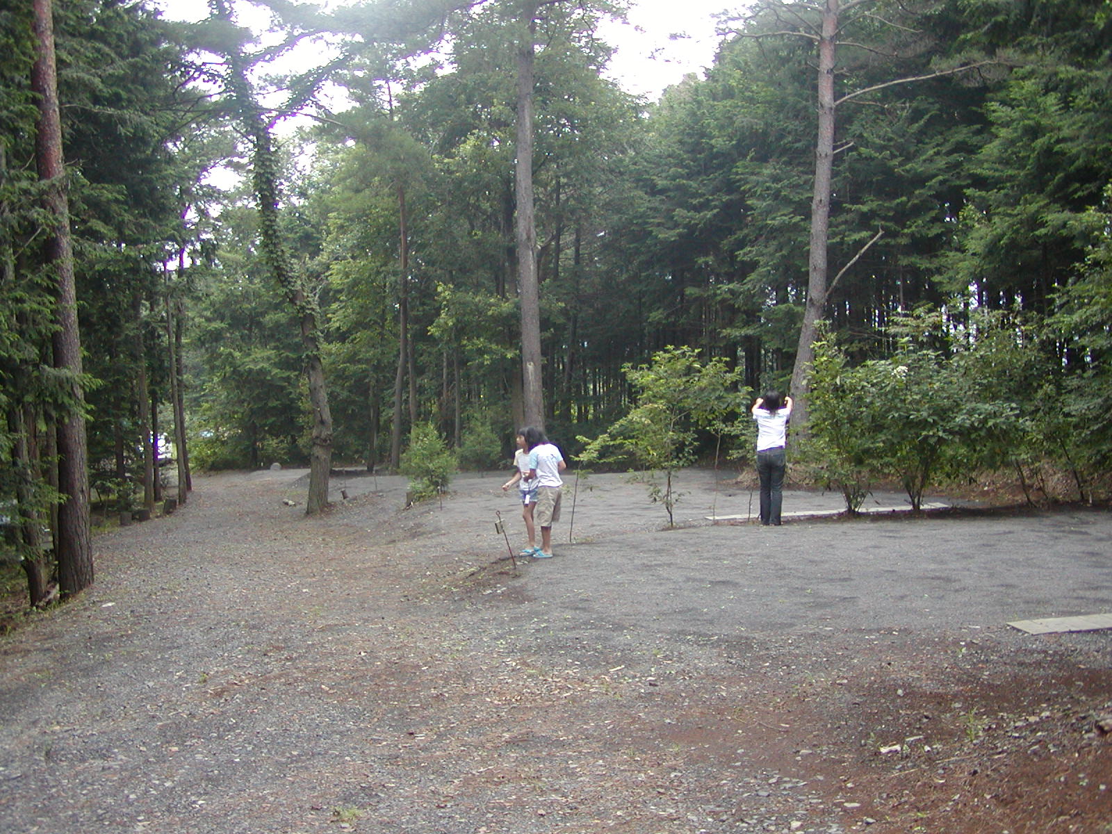 ��A��L�����v��ɂĂR