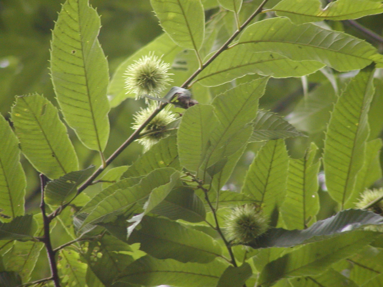 ��A��L�����v��ɂĂS