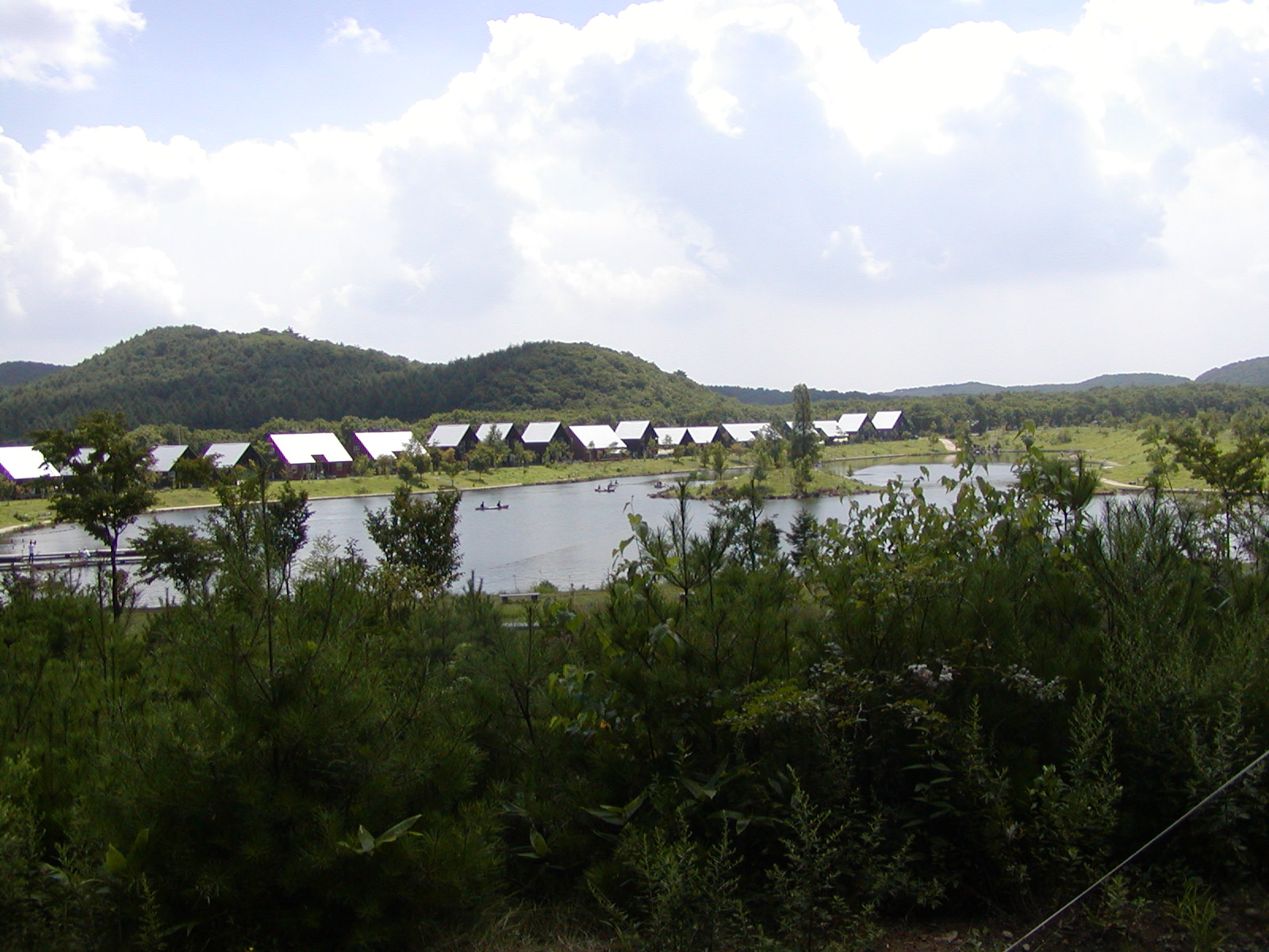 ���W�[�i�̐X�ɂĂS