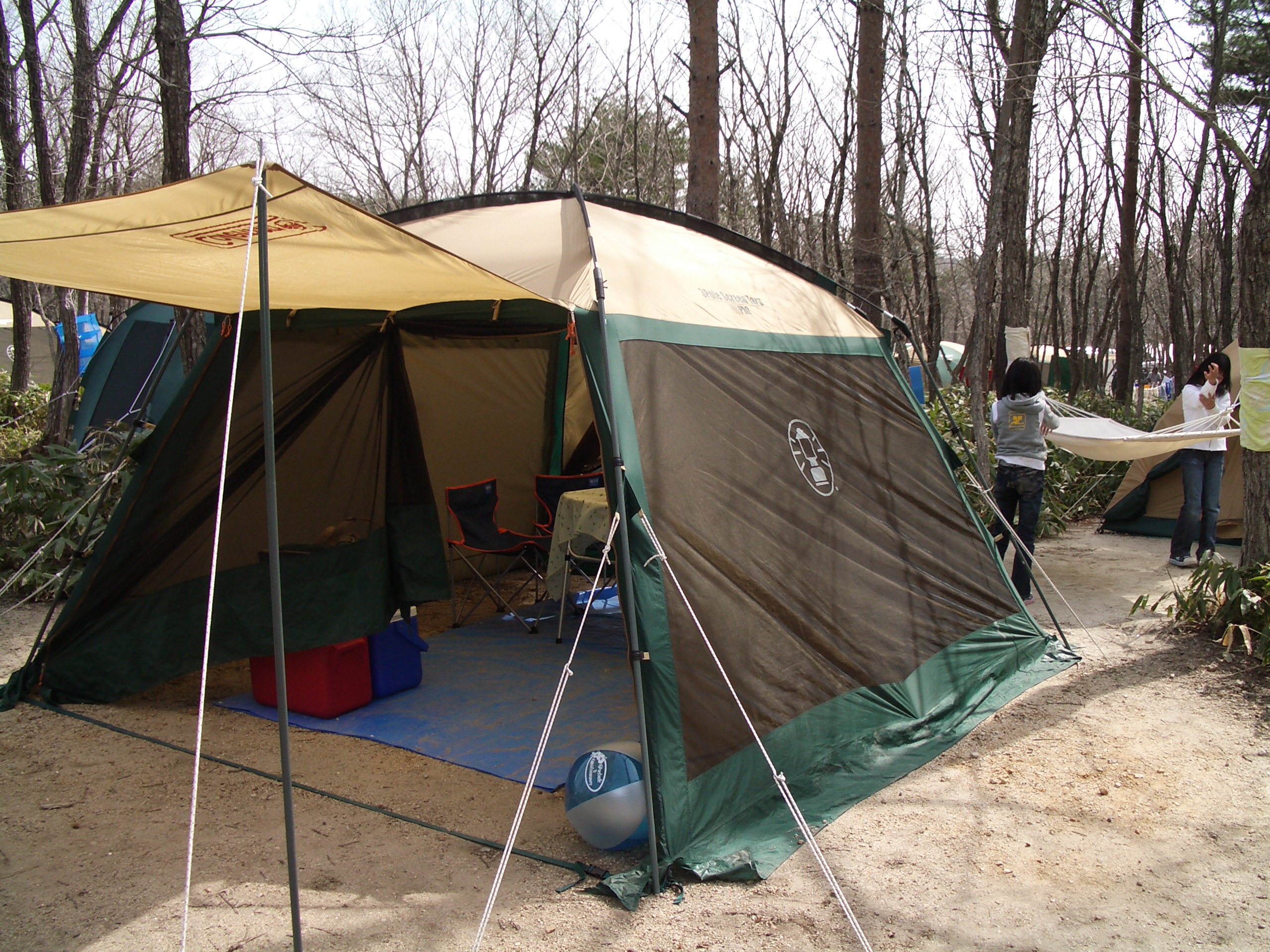 ���W�[�i�̐X�ɂĂT