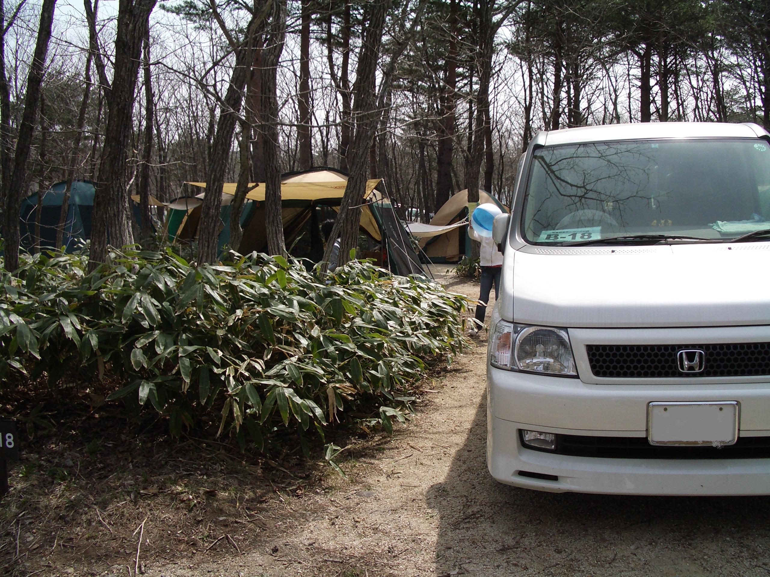 ���W�[�i�̐X�ɂĂU