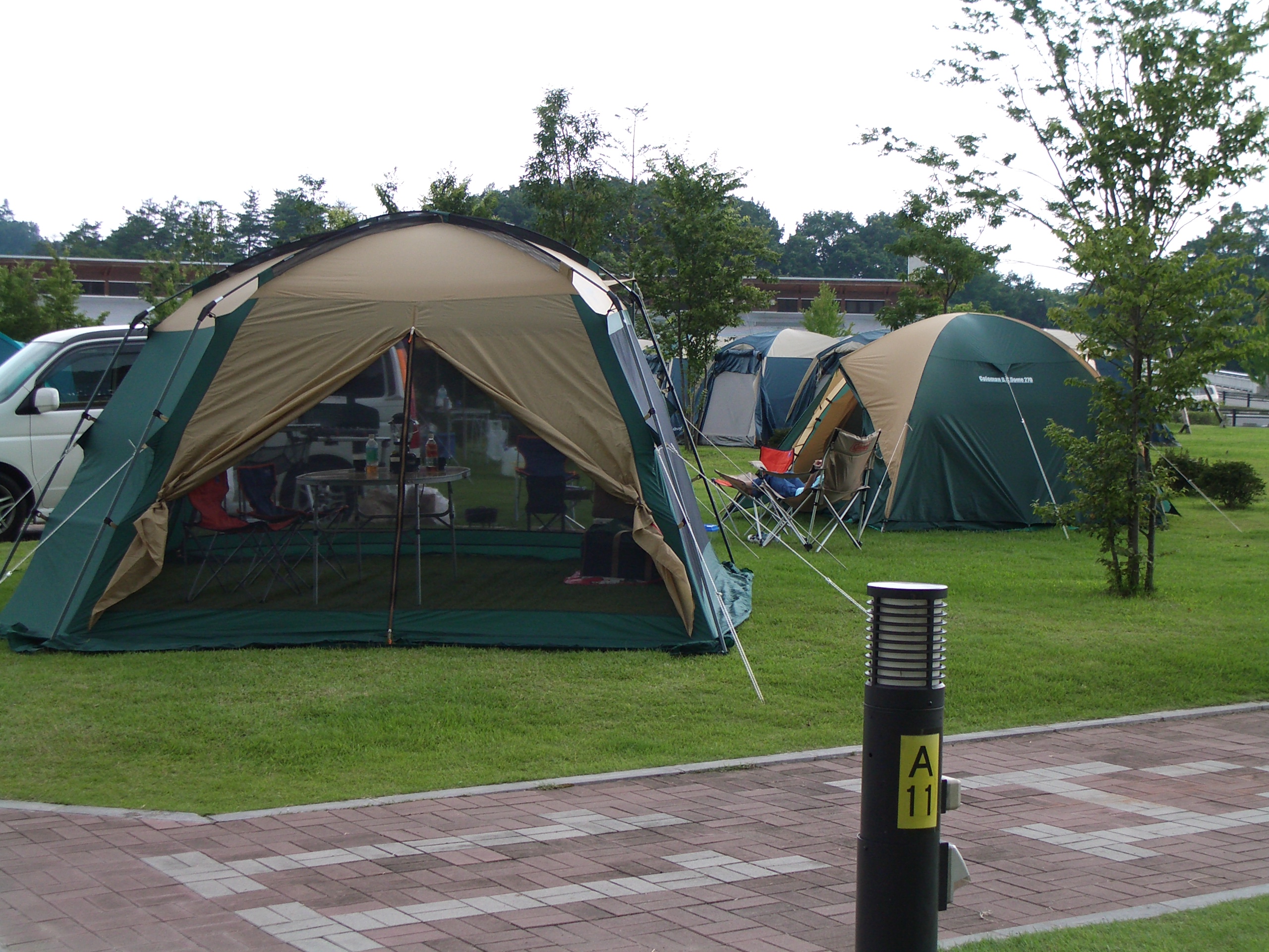 ��q�L������I�[�g�L�����v��A�O�������B���ɂ�