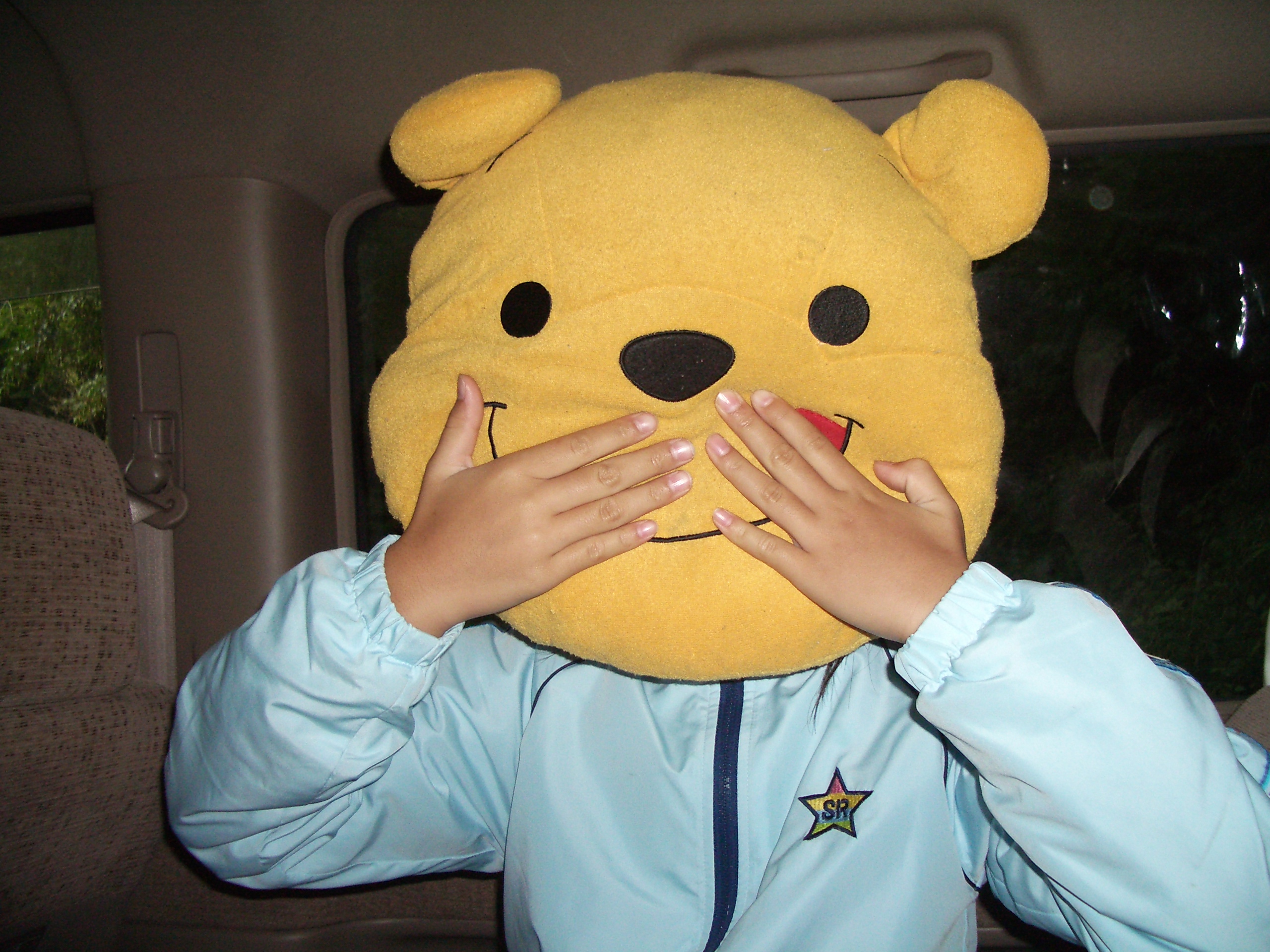 �ߐ{�����A���J�p�ɂ�