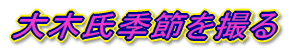 ��؎��G�߂��B��