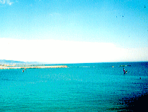 barcelonate