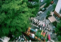 CARNIVAL