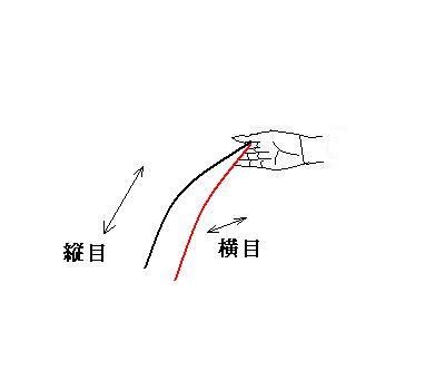 紙の目