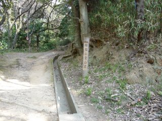 �o�R�������