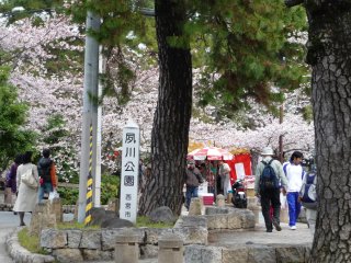 �g�����