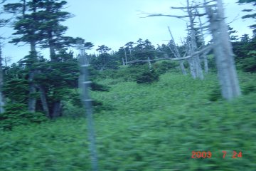 �u��E���Ã��[�g