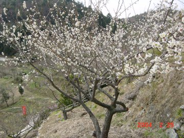 �ڂ݂�����
