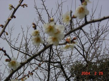 ���J