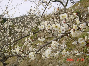 ���J