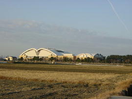 taiikukan02s.jpg^Ls̈ىi