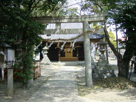 hashira-jinja114s.JPG^ǐ_