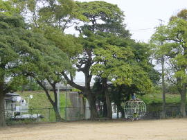shiomichi45s.JPG^