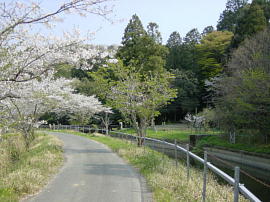 kanazawa01-14s.jpg^