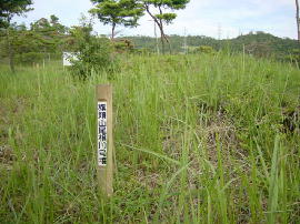 hatagasirayama085-no10.jpg