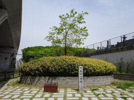 2804-08arimatsu13s.JPG^Lꗢ