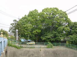 ishiyakushi121s.jpg^Ζt