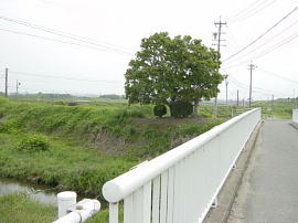 ishiyakushi134s.jpg^Ζtꗢ