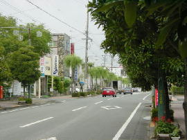 kakegawa117s.jpg