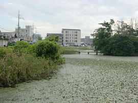 kusatsu-bentenike00s.jpg^ٓVr