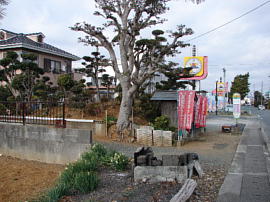 mikatagahara-higashiohyama001s.jpg^Rꗢ