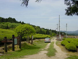 suzukatouge123s.jpg^鎭